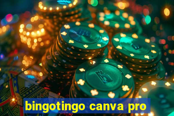 bingotingo canva pro